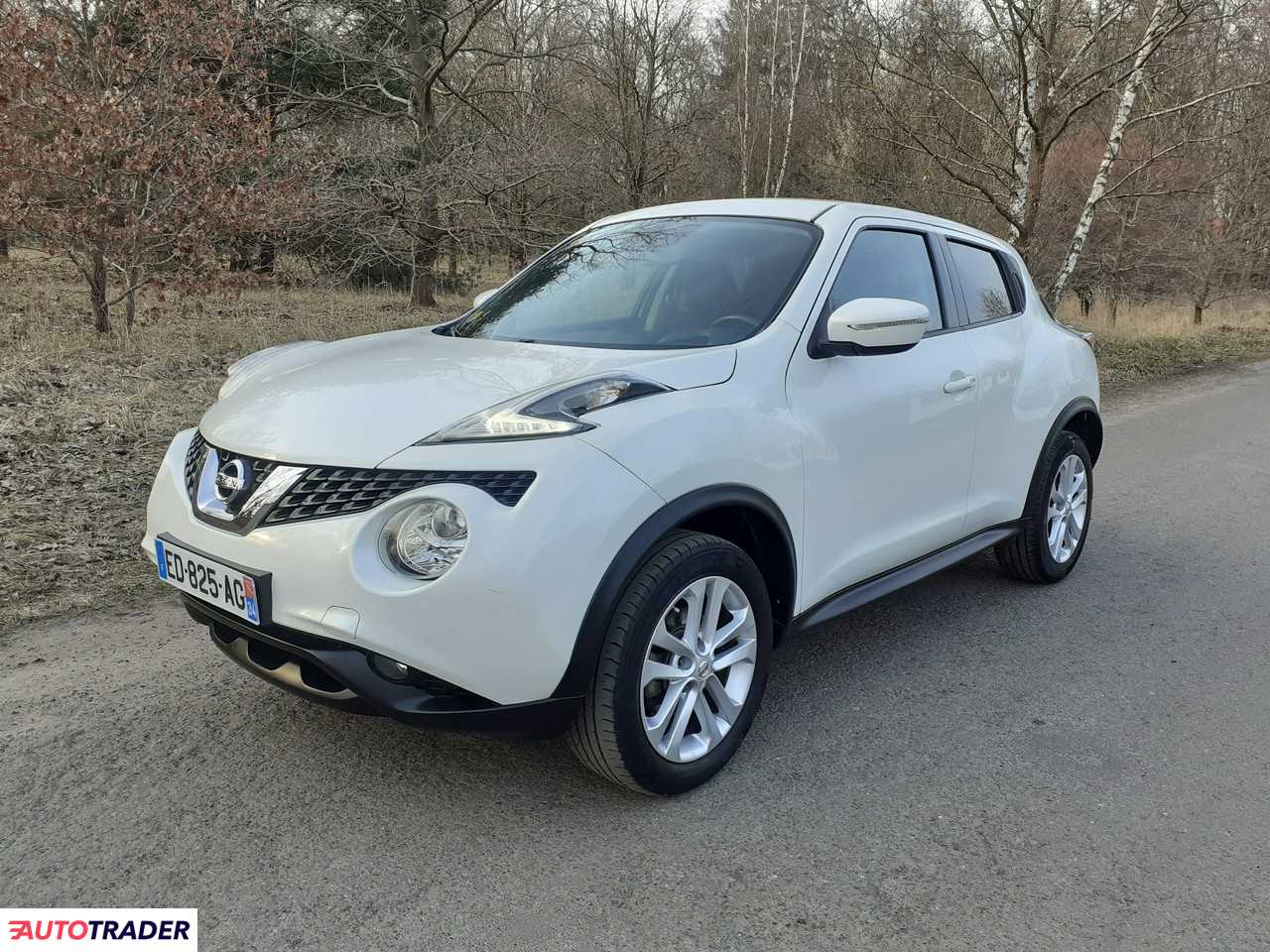 Nissan Juke 2015 1.5 110 KM