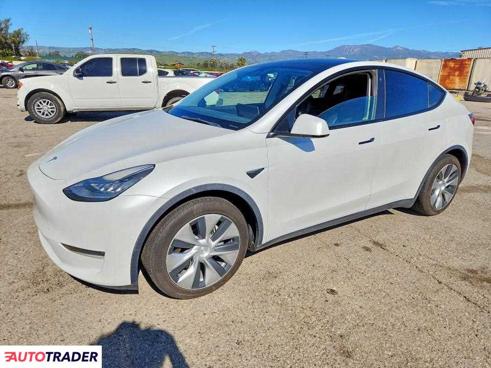 Tesla Model Y 2021