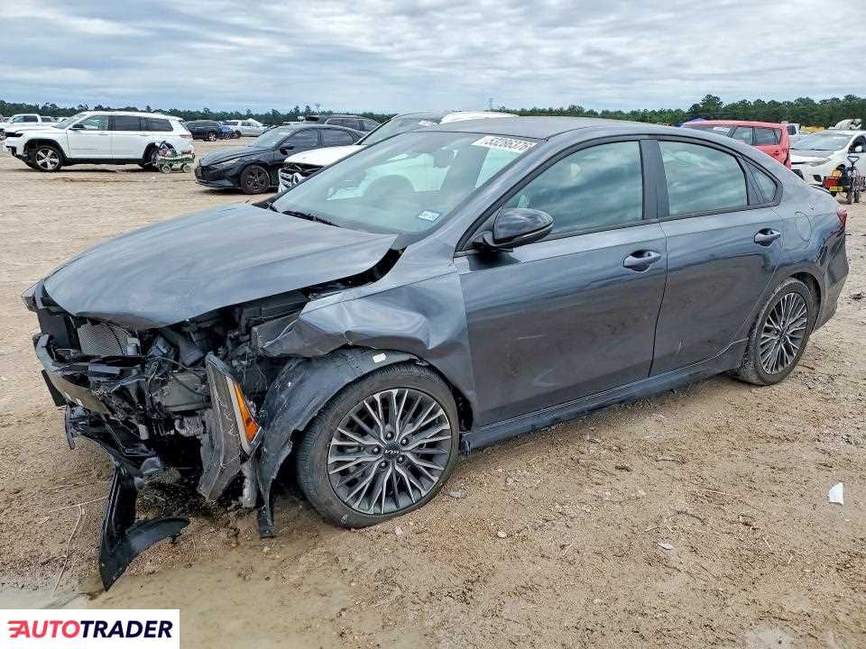 Kia Pozostałe 2024 2