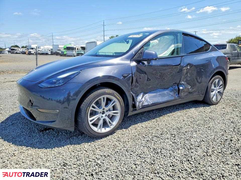 Tesla Model Y 2024