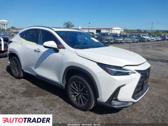 Lexus NX 2024 2