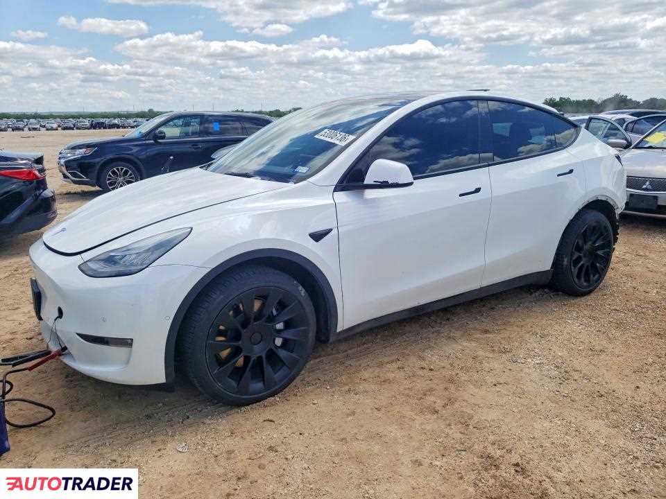 Tesla Model Y 2021