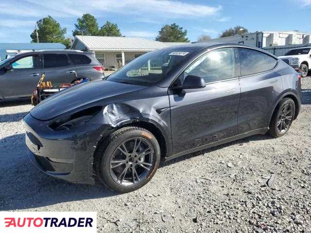 Tesla Model Y benzyna 2024r. (PRAIRIE GROVE)