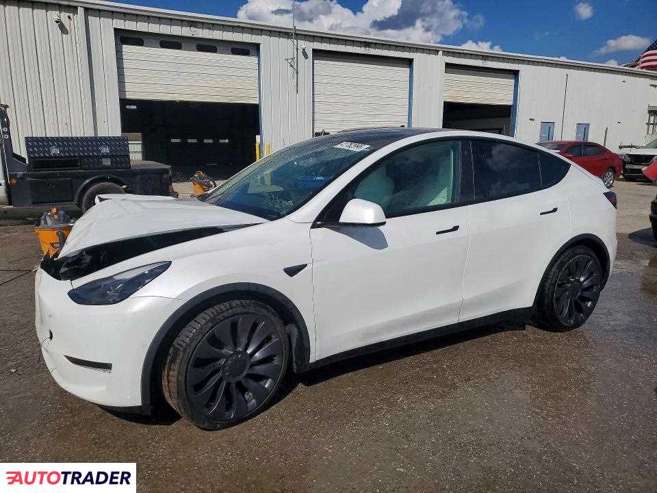 Tesla Model Y 2021