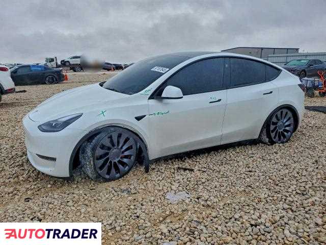 Tesla Model Y 2024