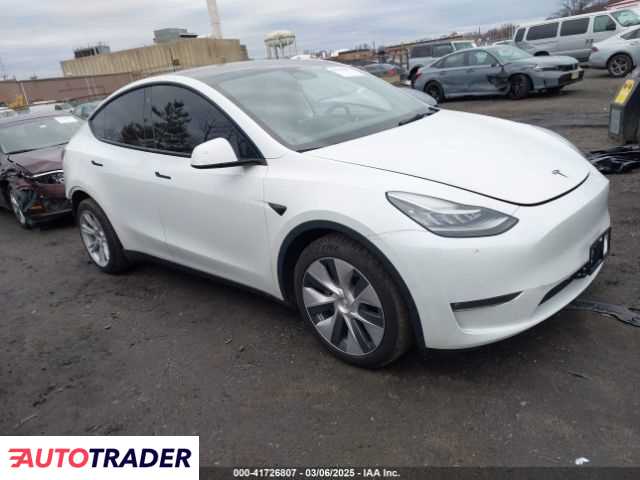 Tesla Model Y 2021 Tesla Model Y 2021