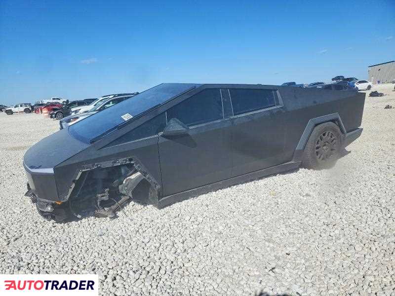 Tesla Pozostałe 2024