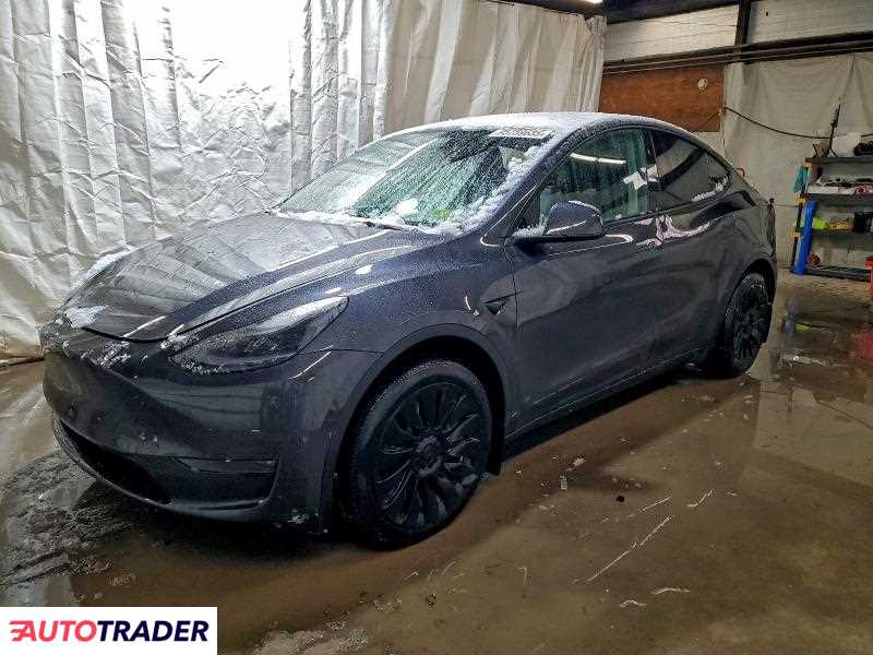 Tesla Model Y 2024