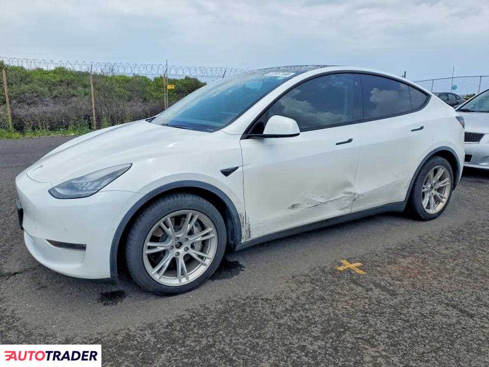 Tesla Model Y 2021