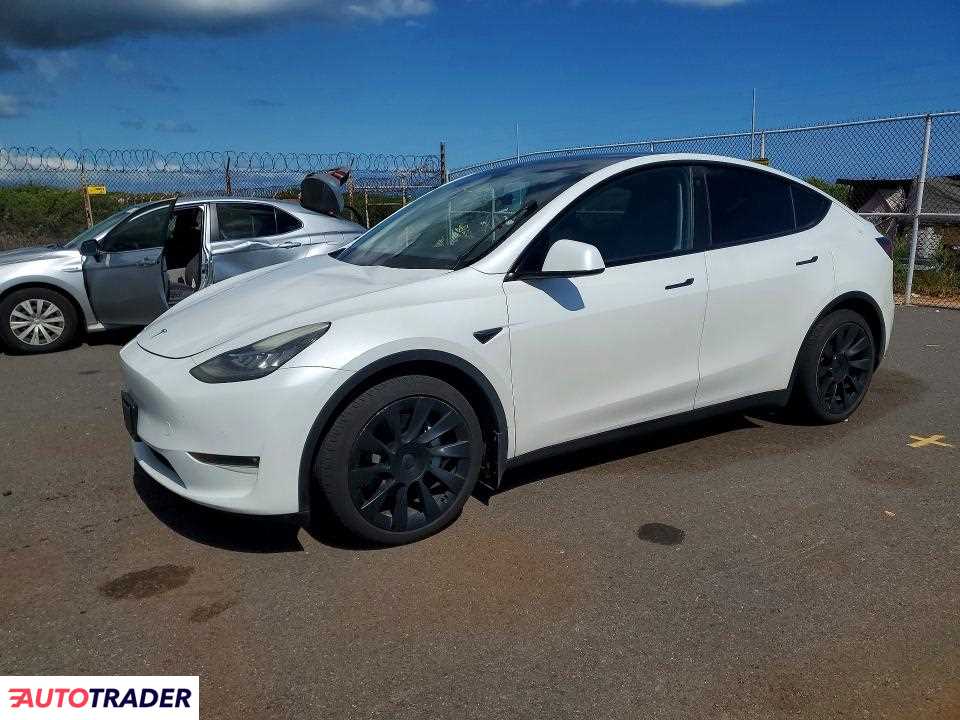 Tesla Model Y 2021