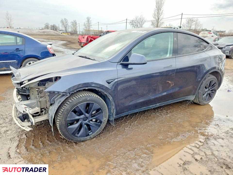 Tesla Model Y 2025