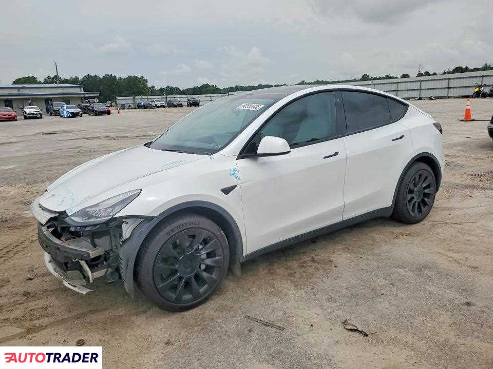 Tesla Model Y 2020