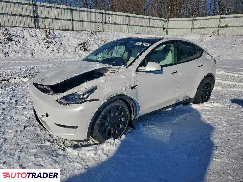 Tesla Model Y 2021