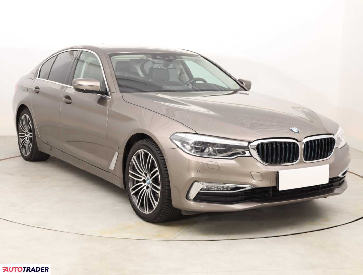 BMW 530 2019 2.0 248 KM