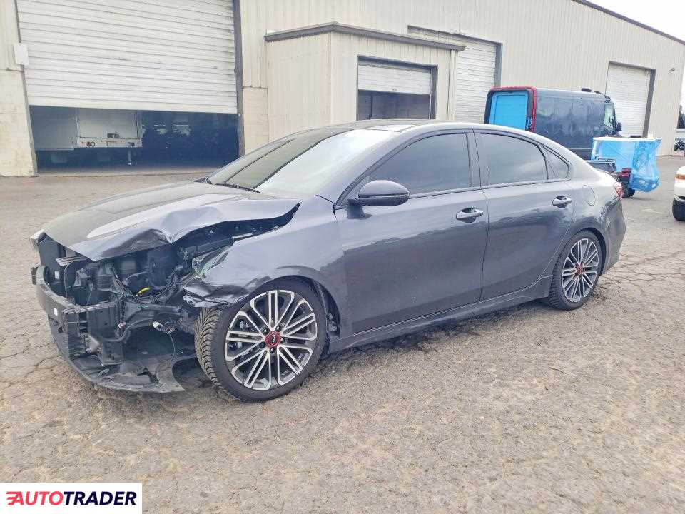Kia Pozostałe 2024 1