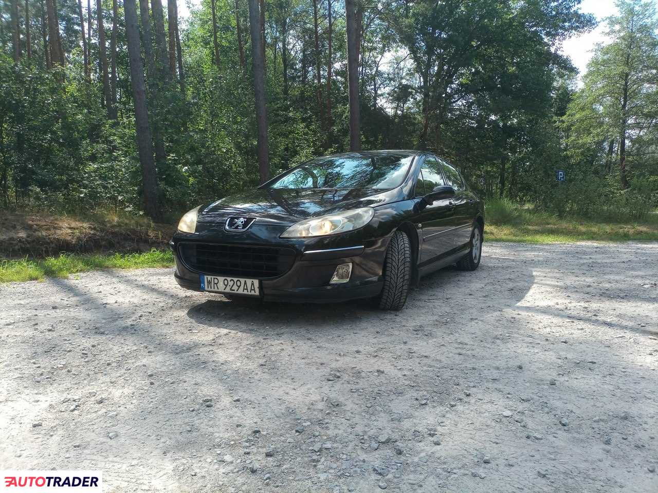 Peugeot 407 2005 1.7 114 KM Peugeot 407 2005 1.7 114 KM