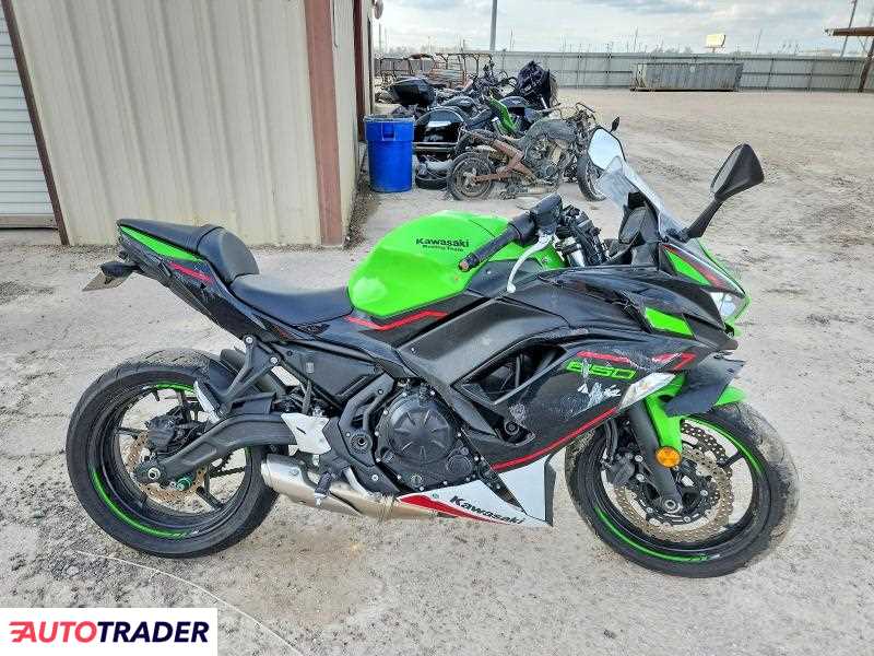 Kawasaki Pozostałe 2022