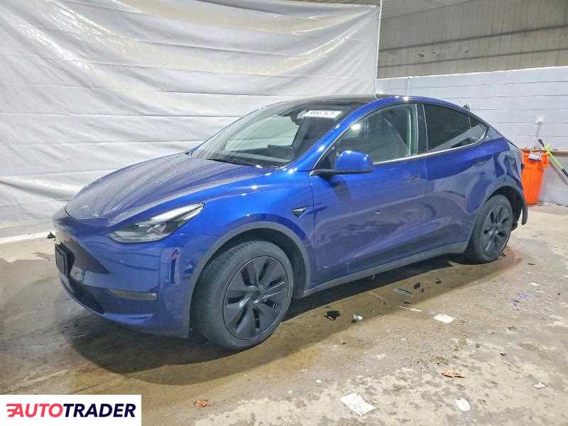 Tesla Model Y 2025