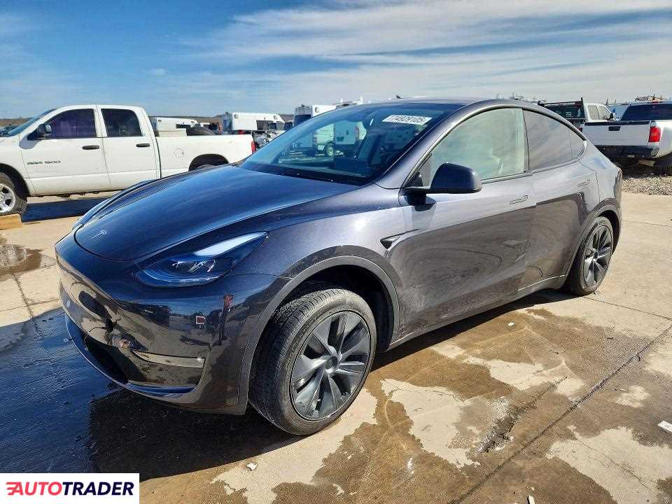 Tesla Model Y 2024