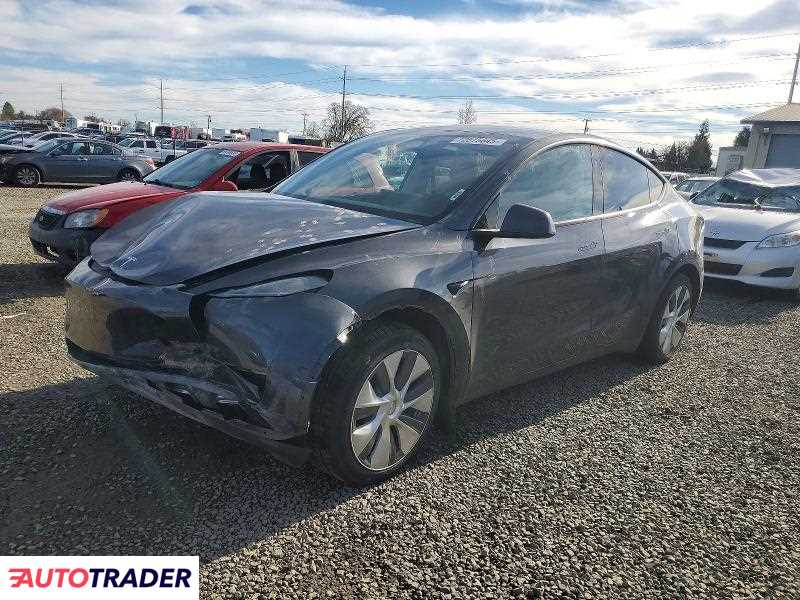 Tesla Model Y 2024