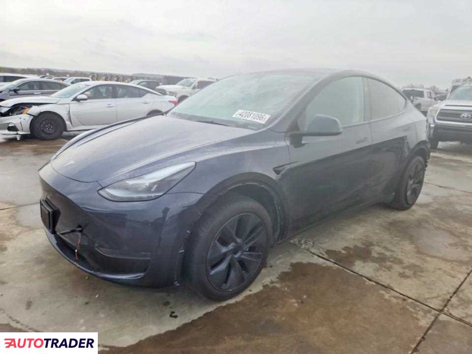 Tesla Model Y 2024