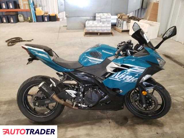 Kawasaki Pozostałe 2021 Kawasaki Pozostałe 2021