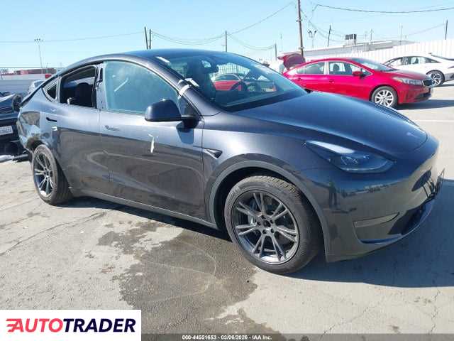 Tesla Model Y 2024