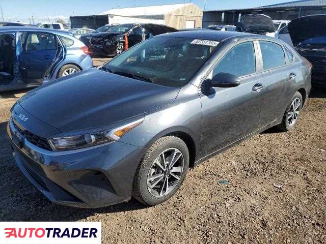 Kia Pozostałe 2024 2