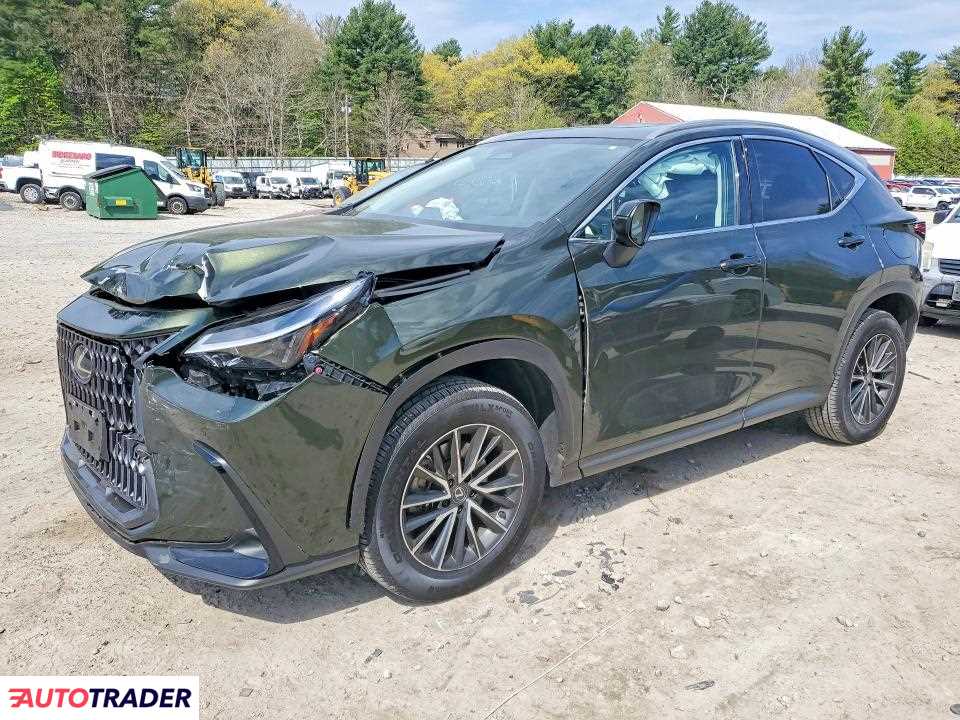 Lexus NX 2024 2