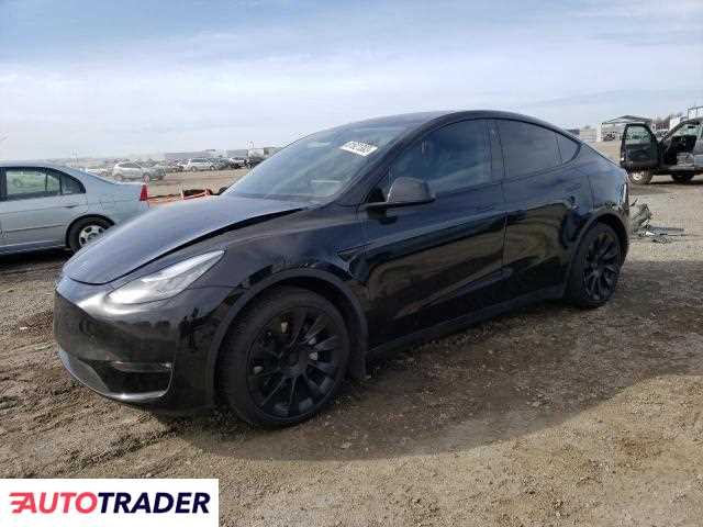 Tesla Model Y 2021