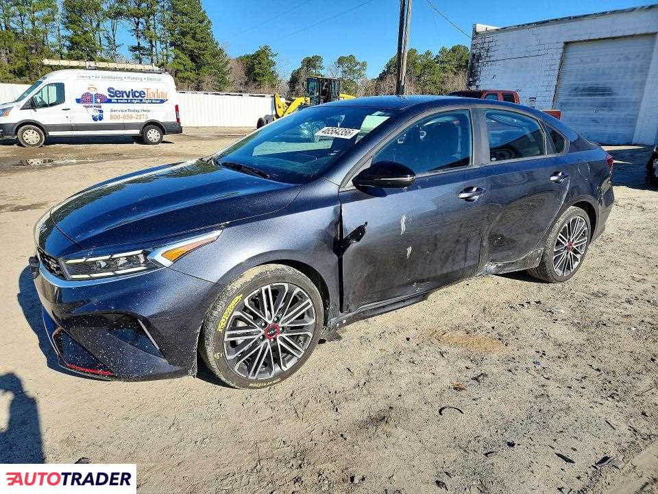 Kia Pozostałe 2024 1