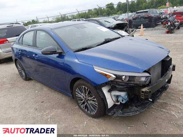Kia Pozostałe 2024 2