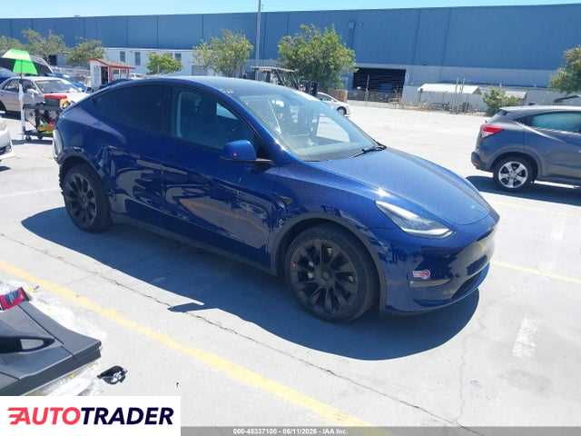 Tesla Model Y 2021