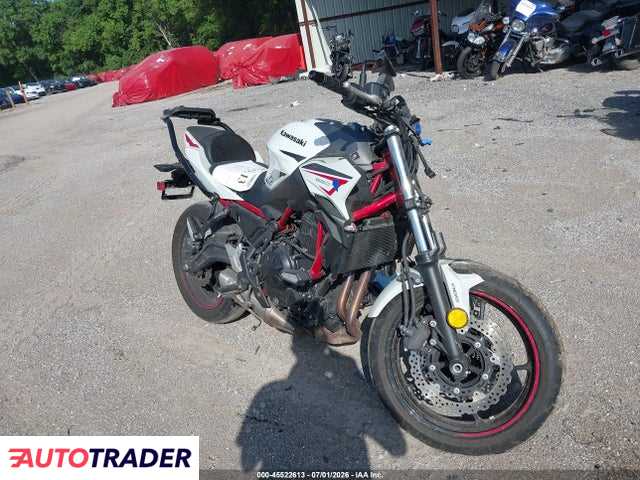 Kawasaki ER 2022