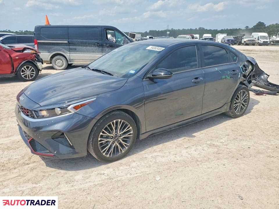Kia Pozostałe 2024 2