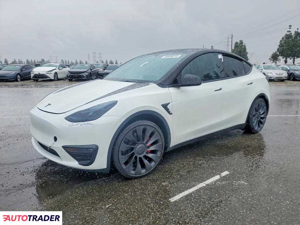 Tesla Model Y 2025