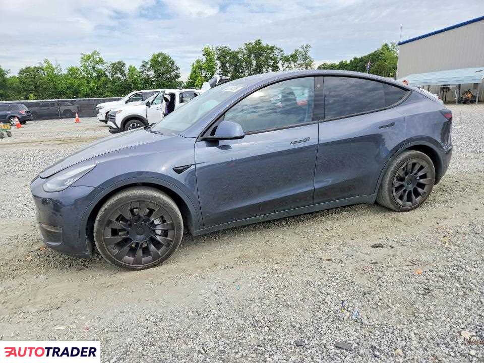Tesla Model Y 2020