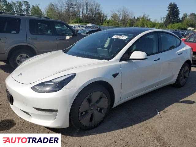 Tesla Model 3 2021 Tesla Model 3 2021