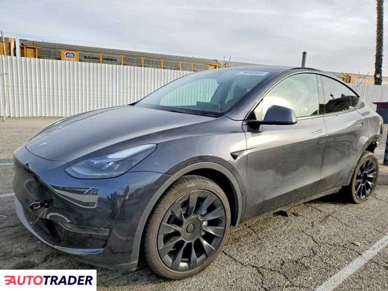 Tesla Model Y 2024