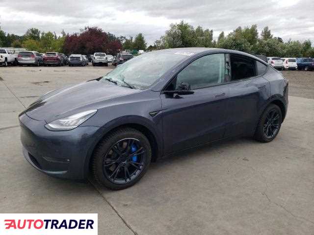 Tesla Model Y 2021