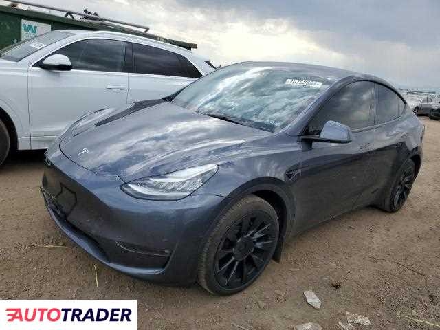 Tesla Model Y benzyna 2022r. (BRIGHTON)