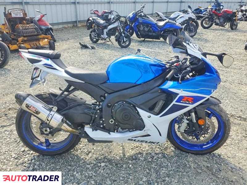 Suzuki GSX 2024