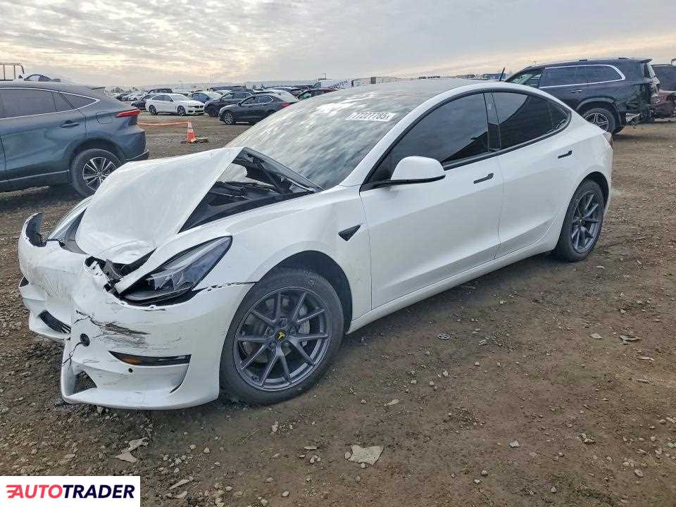 Tesla Model 3 2022