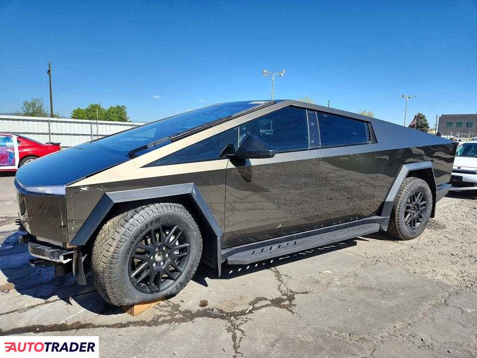Tesla Pozostałe 2025