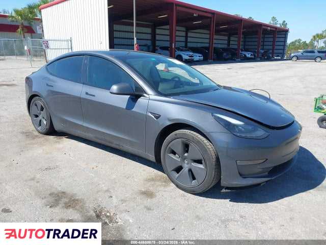Tesla Model 3 2021