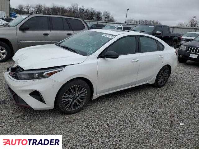 Kia Pozostałe 2024 2