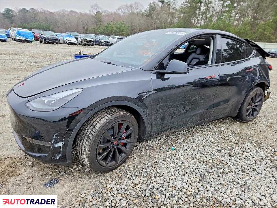 Tesla Model Y 2024