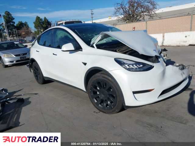 Tesla Model Y benzyna 2020r. (FREMONT)