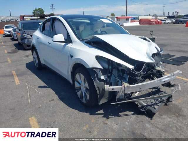 Tesla Model Y 2021
