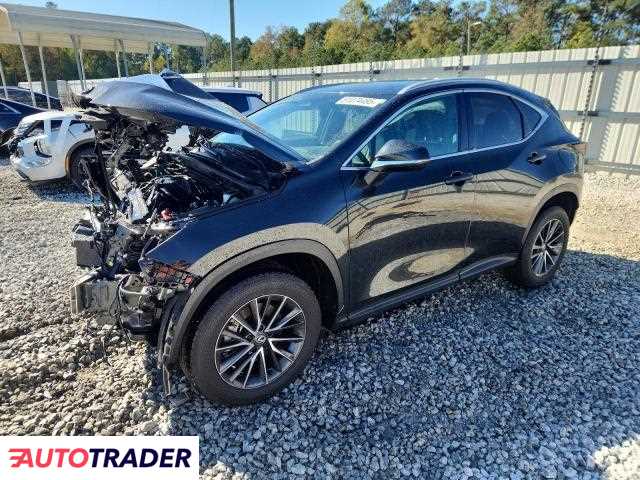 Lexus NX 2024 2